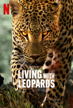 เว็บหนัง อยู่กับเสือดาว (2024) อยู่กับเสือดาว หนังใหม่ Living with Leopards (2024) อยู่กับเสือดาว หนังใหม่ 2024